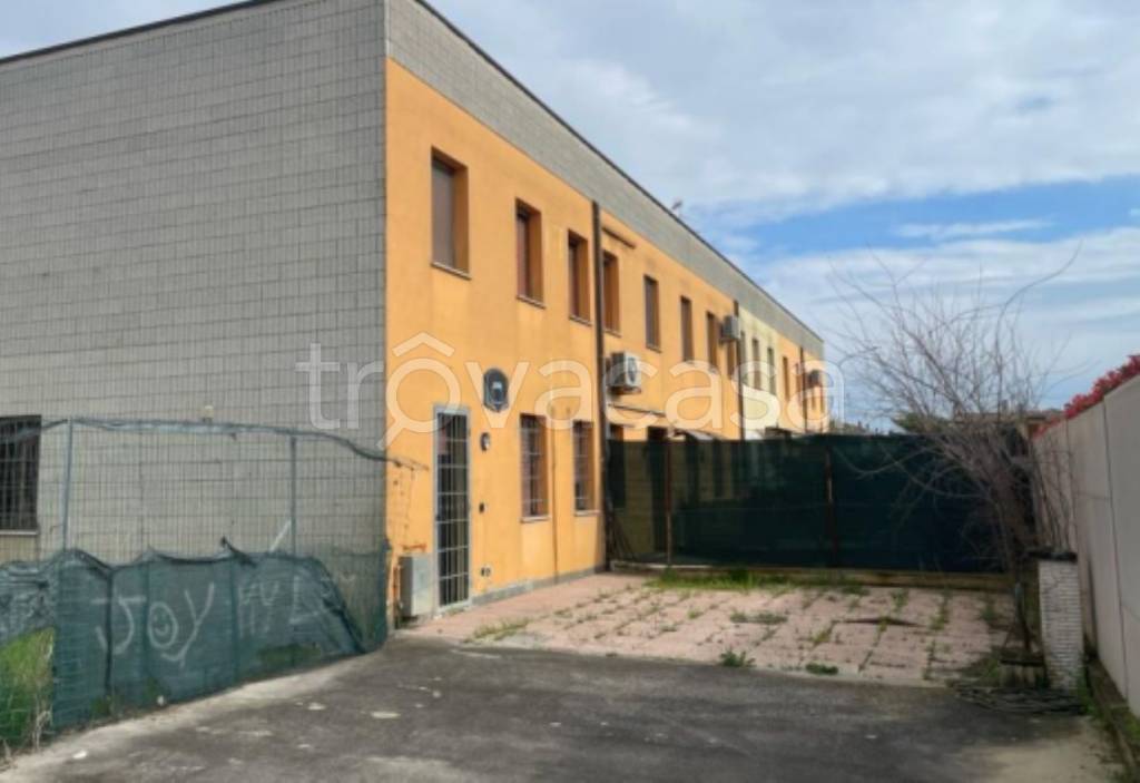 immagine annuncio 3 di 14