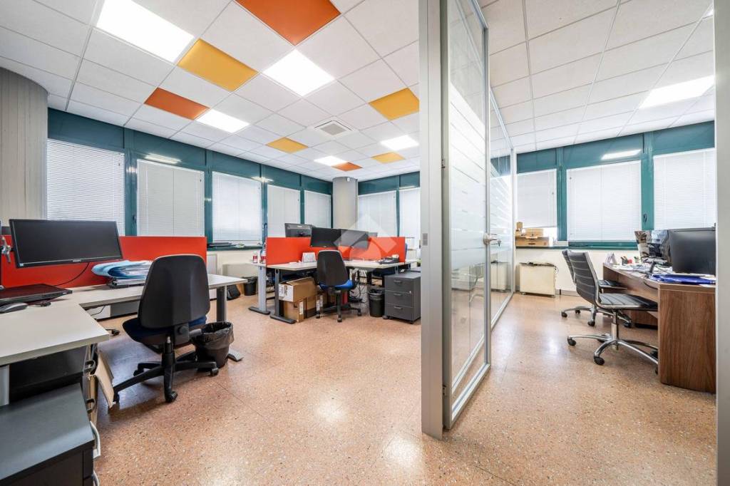 immagine annuncio 10 di 15