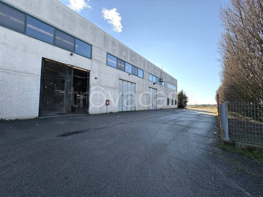 immagine annuncio 6 di 13