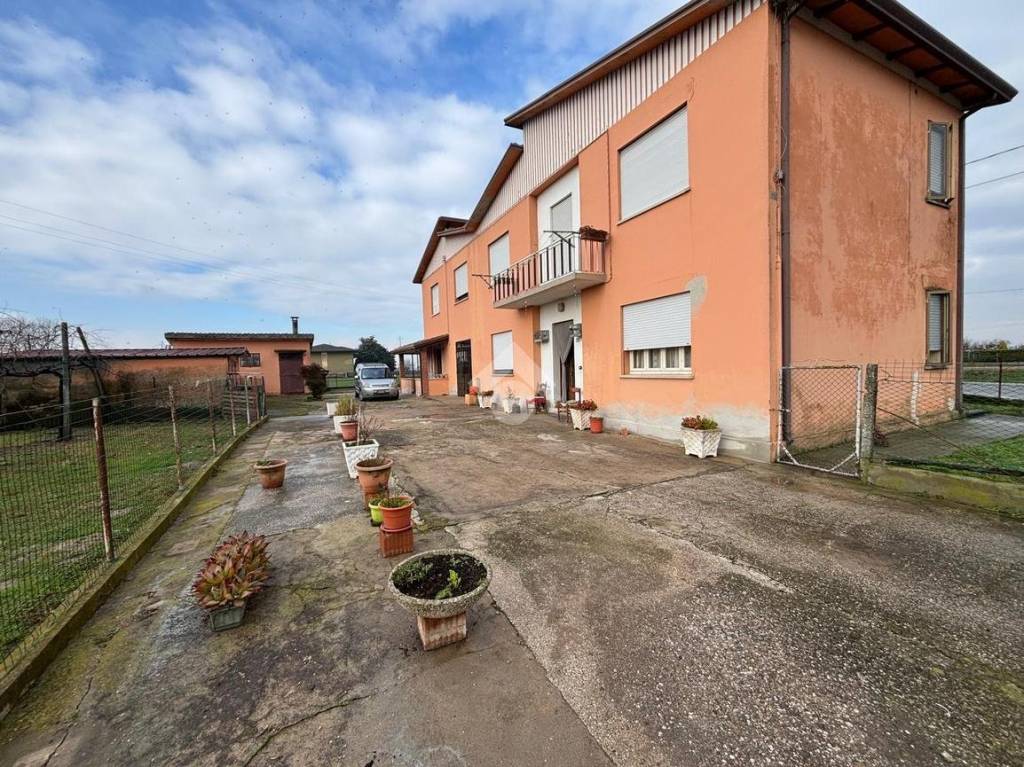 immagine annuncio 3 di 11