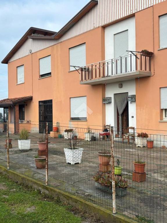 immagine annuncio 4 di 11