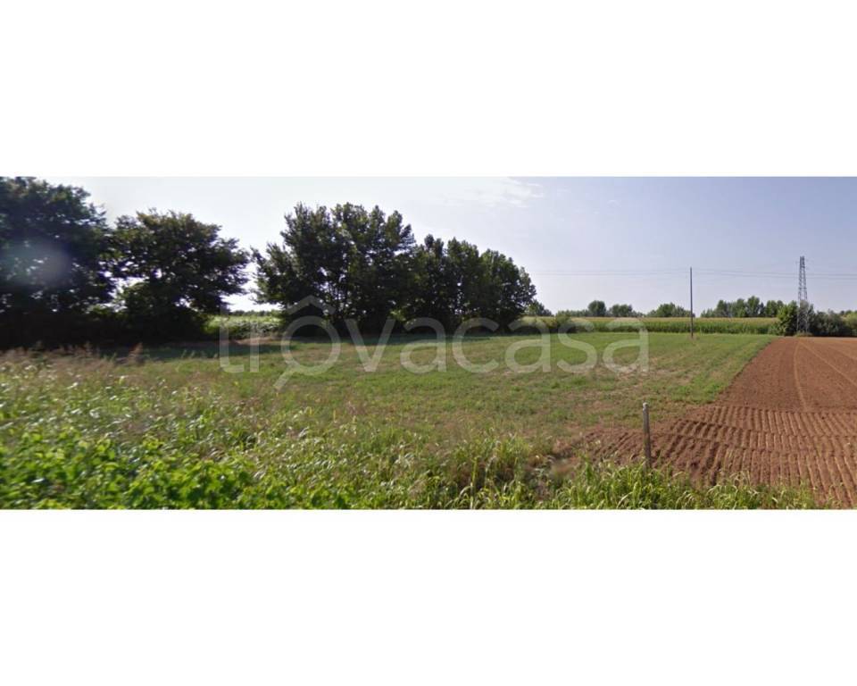 immagine annuncio 3 di 7