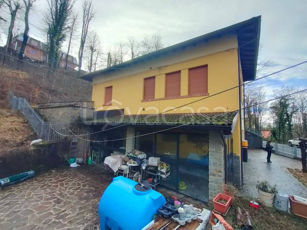 immagine annuncio 11 di 15