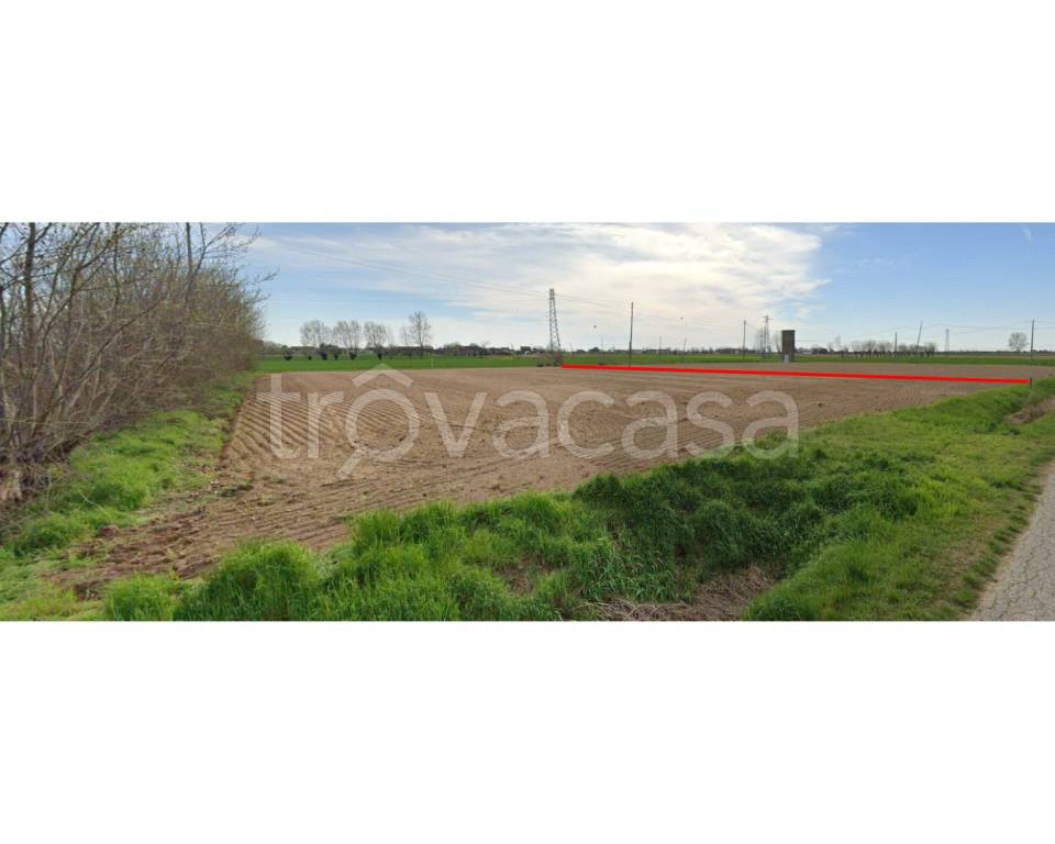 immagine annuncio 5 di 7