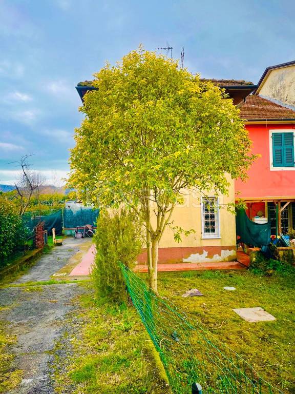 immagine annuncio 12 di 13