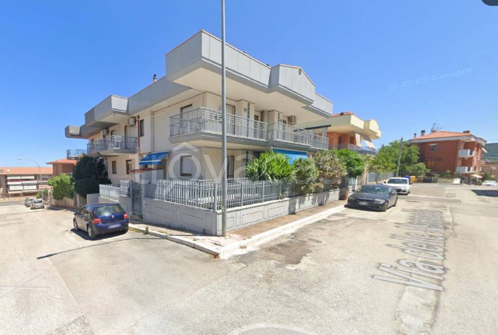 immagine annuncio 5 di 11