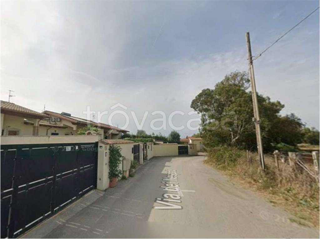 immagine annuncio 2 di 4