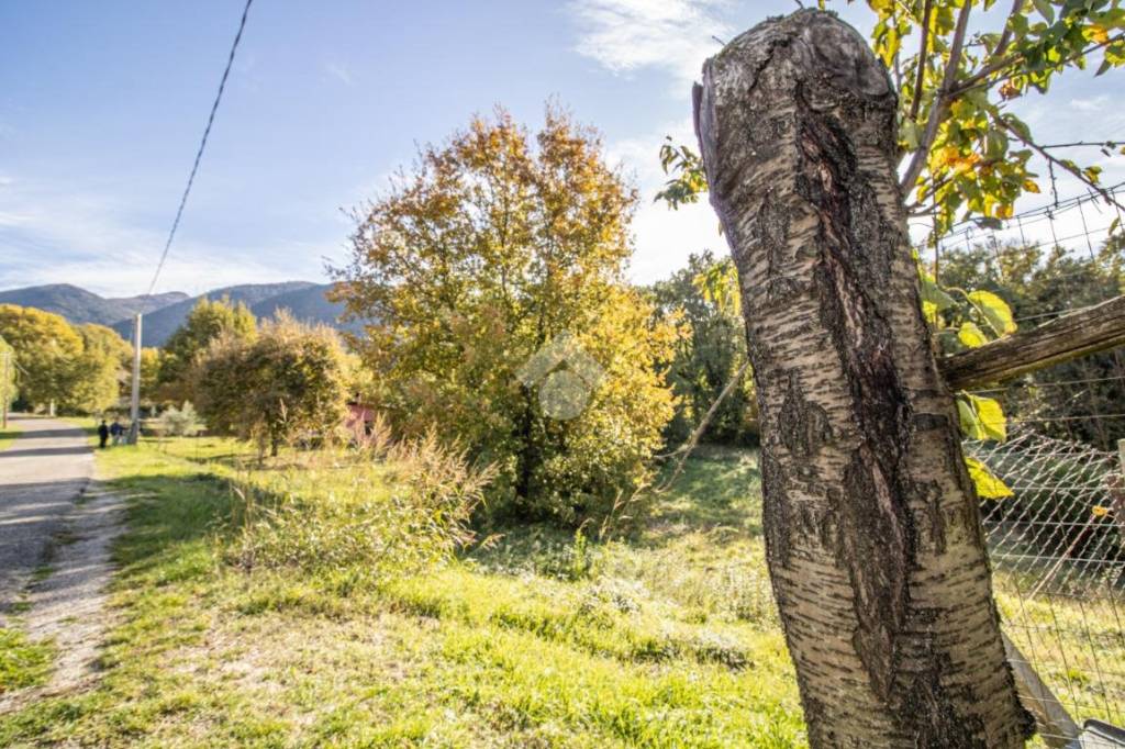 immagine annuncio 2 di 6