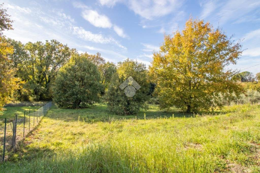 immagine annuncio 3 di 6