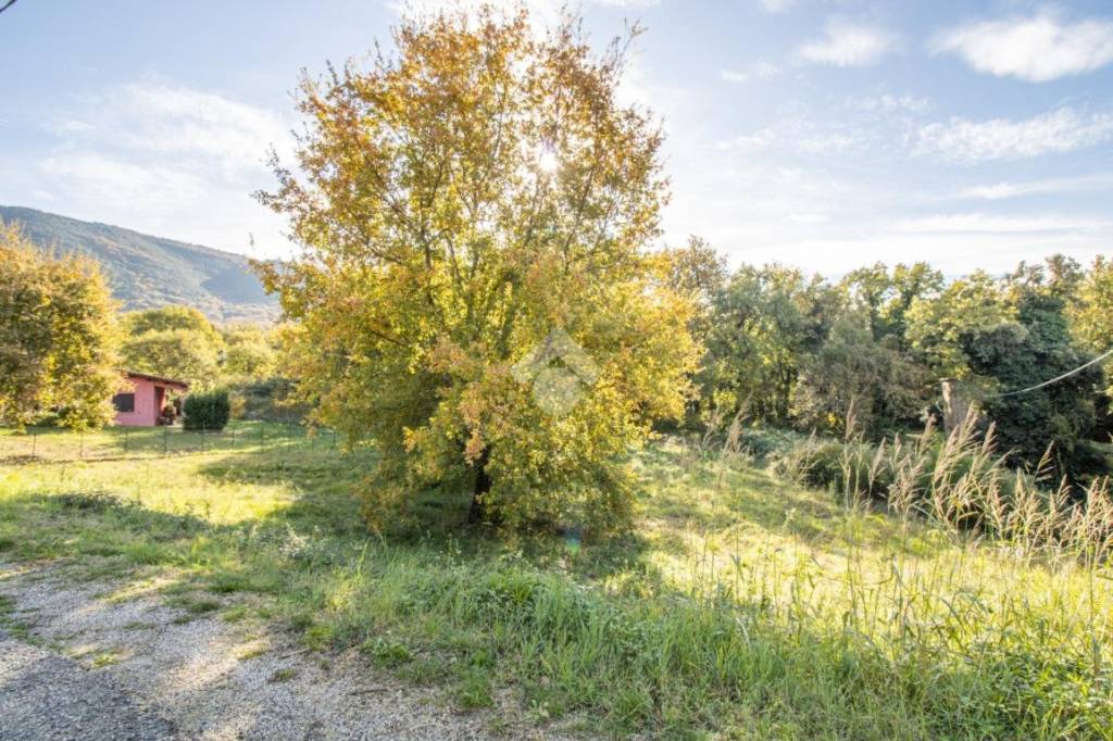 immagine annuncio 4 di 6