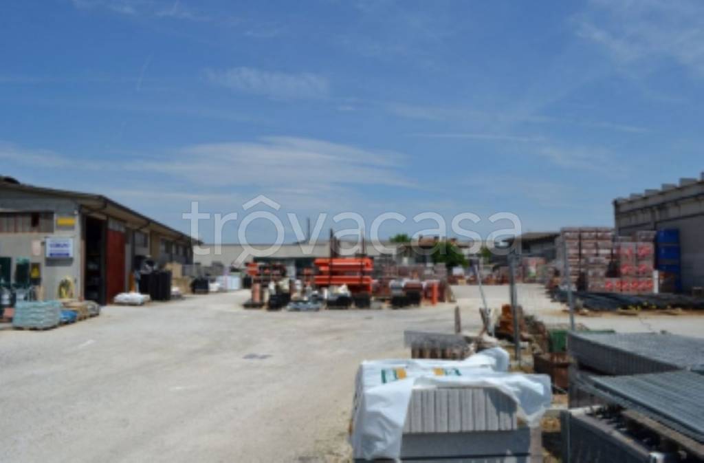 immagine annuncio 3 di 11