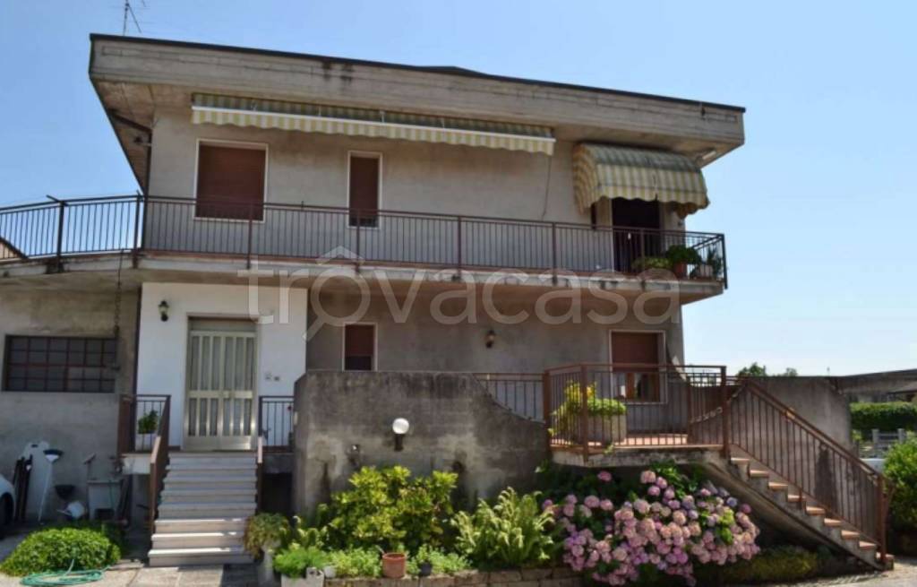 immagine annuncio 4 di 11