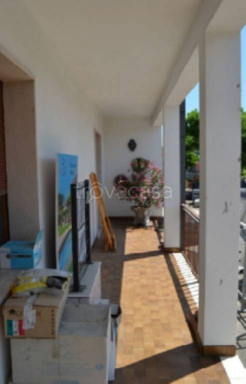 immagine annuncio 6 di 11