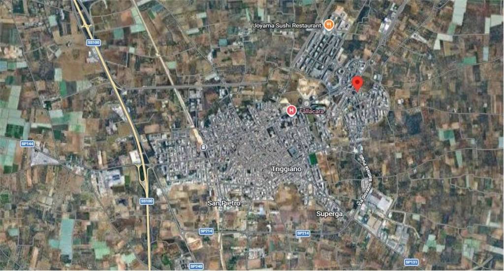 immagine annuncio 11 di 15