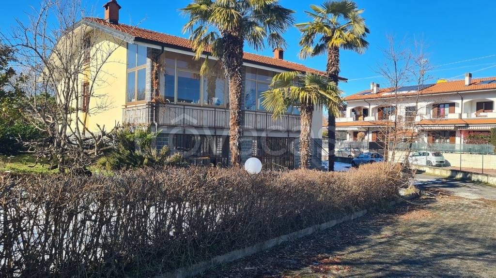 immagine annuncio 4 di 8