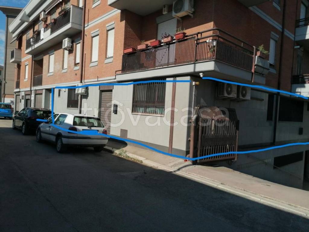 immagine annuncio 1 di 11