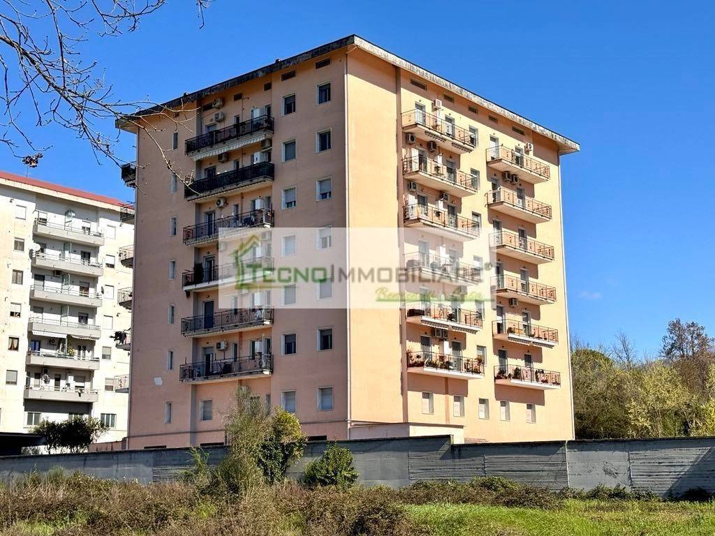 immagine annuncio 10 di 12