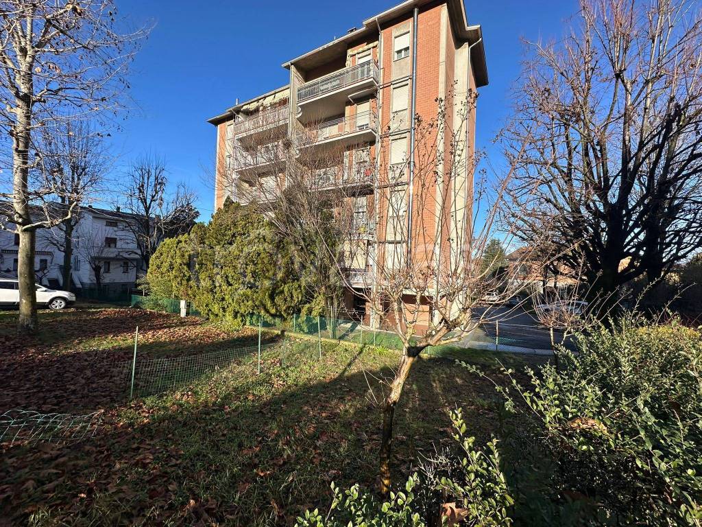 immagine annuncio 2 di 15