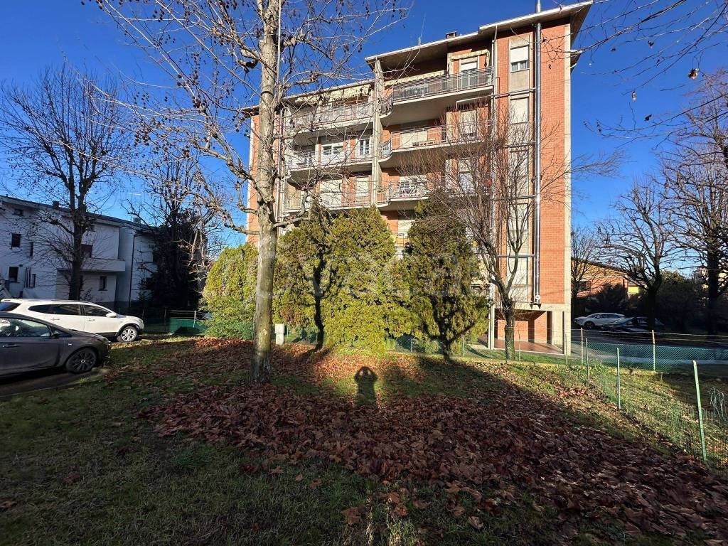 immagine annuncio 1 di 15