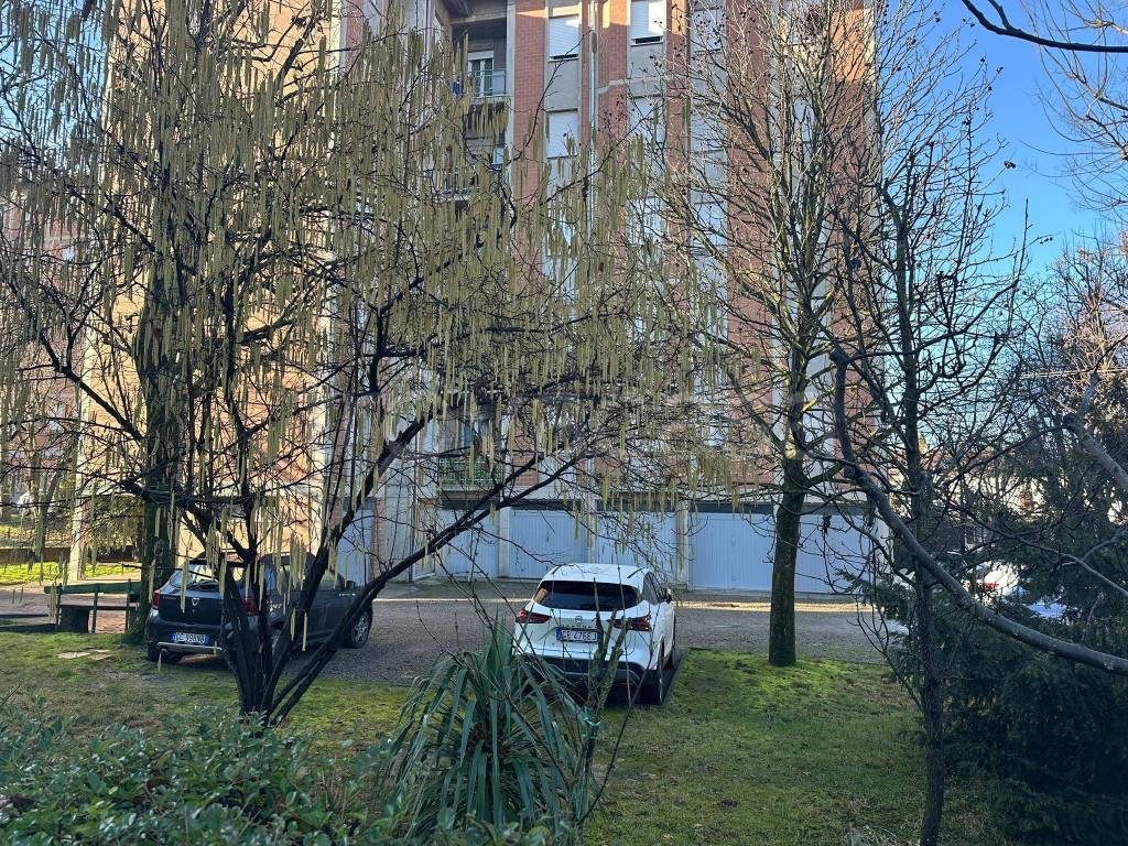 immagine annuncio 3 di 15