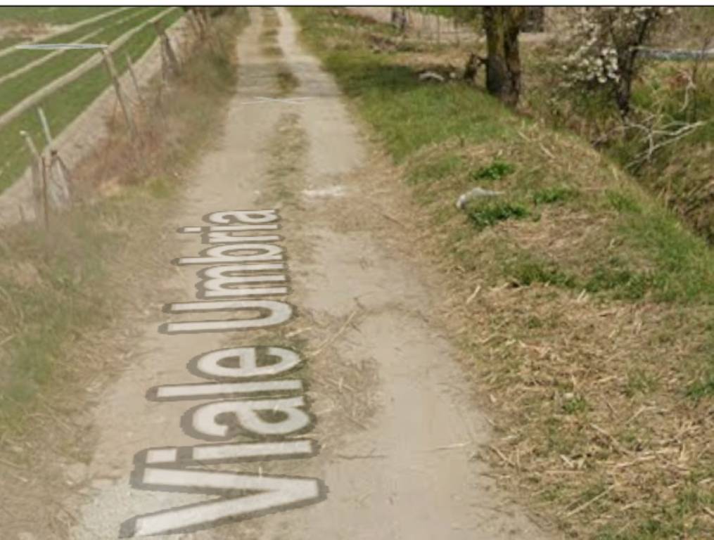 immagine annuncio 4 di 12