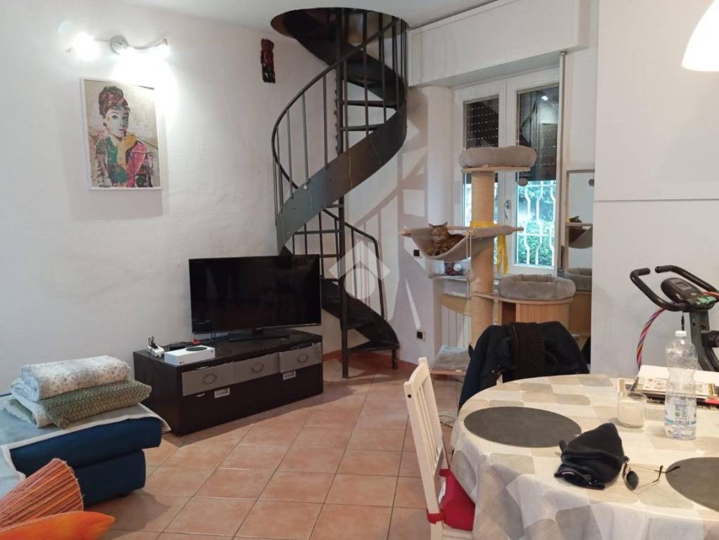 immagine annuncio 7 di 15