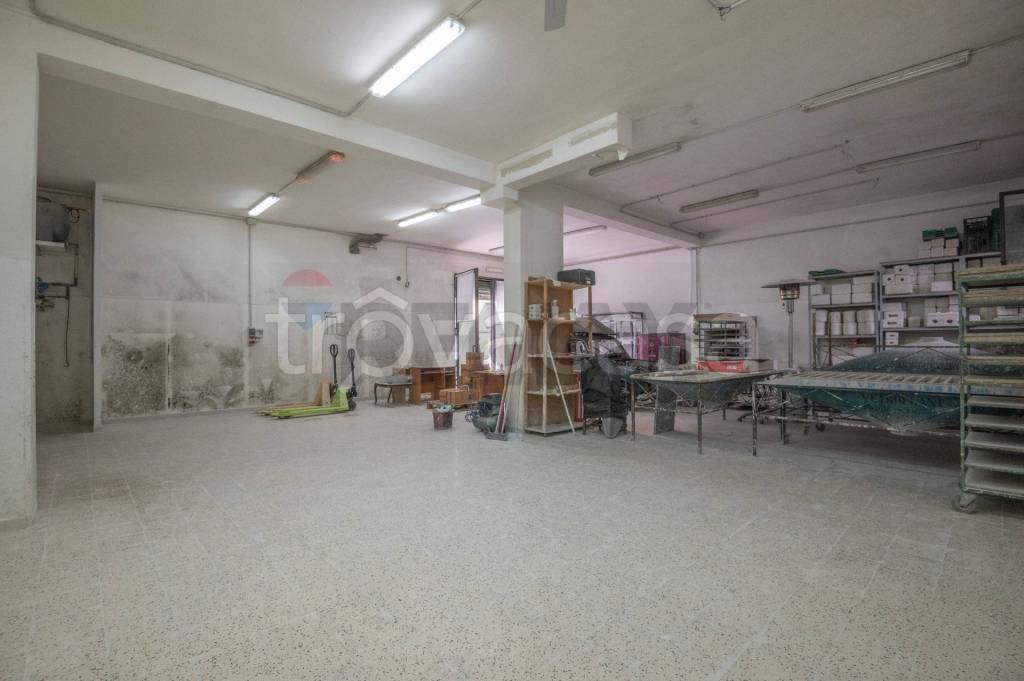 immagine annuncio 12 di 13