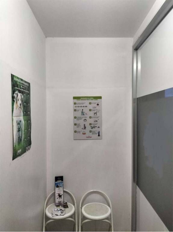 immagine annuncio 1 di 7