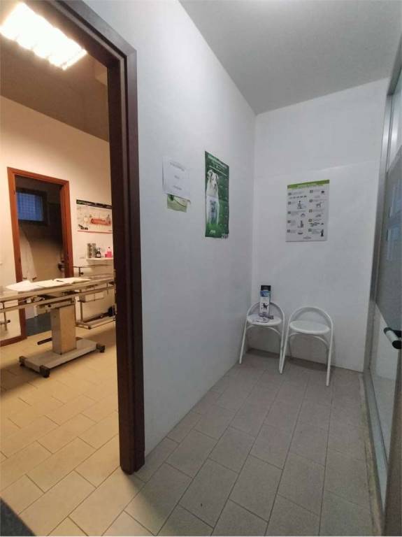 immagine annuncio 3 di 7