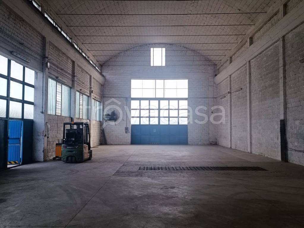 immagine annuncio 9 di 13