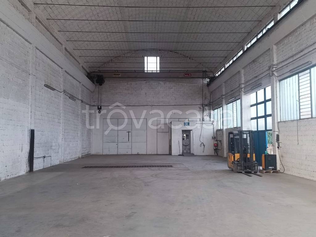 immagine annuncio 11 di 13