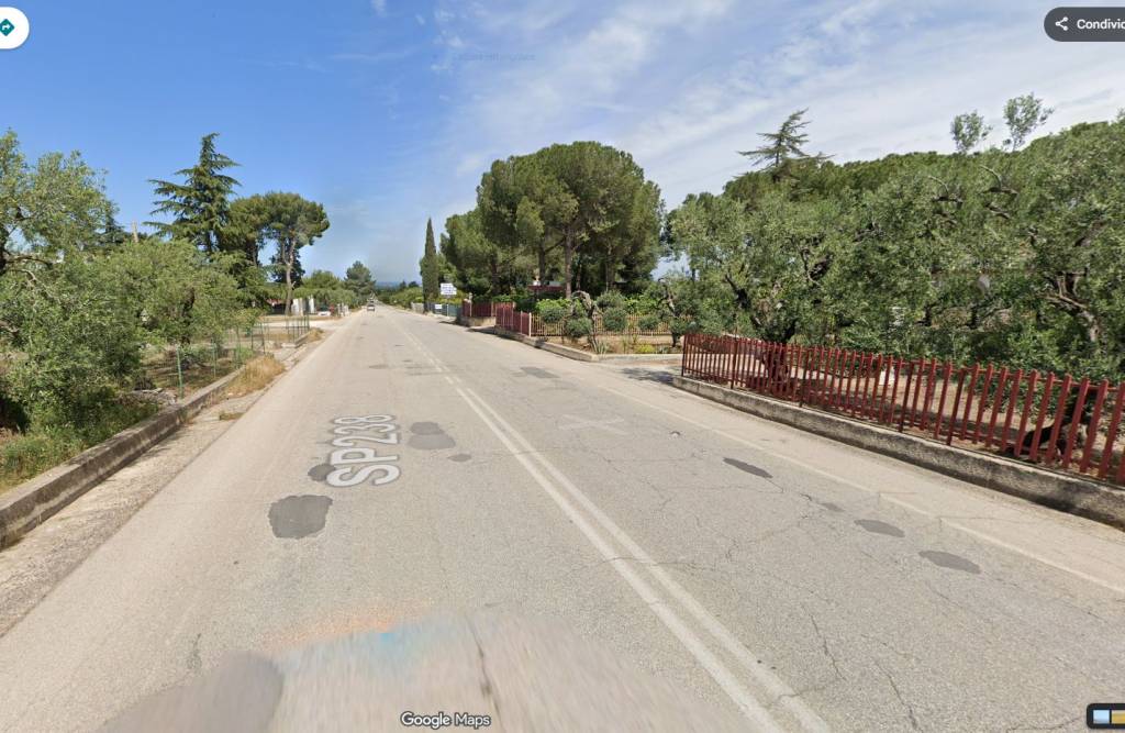 immagine annuncio 1 di 2