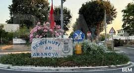 immagine annuncio 13 di 14