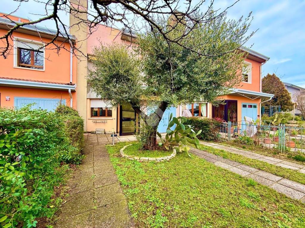 immagine annuncio 2 di 15