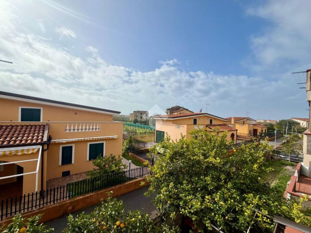 immagine annuncio 12 di 13