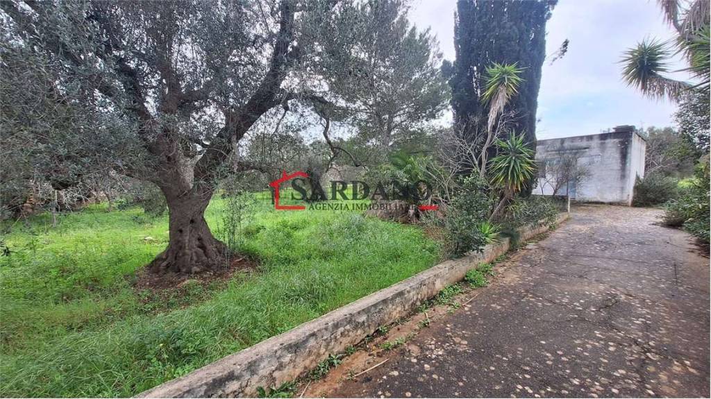 immagine annuncio 1 di 7