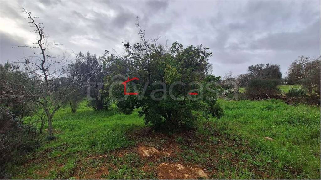 immagine annuncio 4 di 7