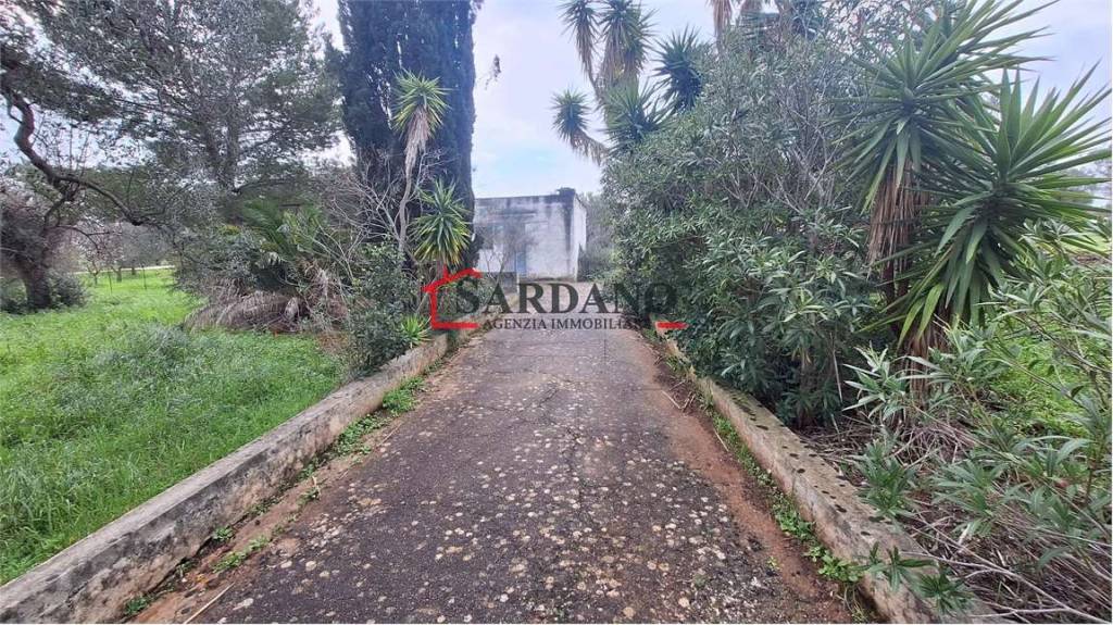 immagine annuncio 5 di 7