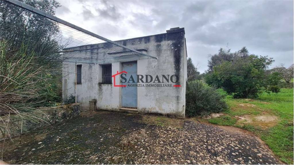 immagine annuncio 6 di 7