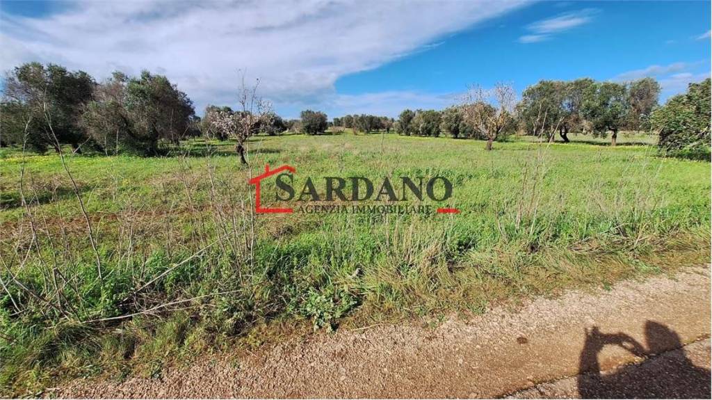 immagine annuncio 2 di 8