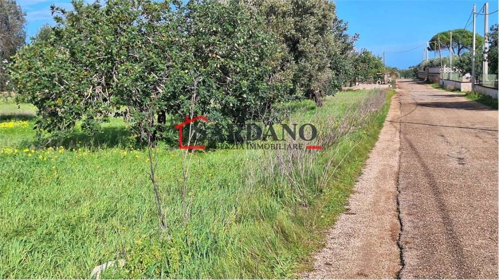 immagine annuncio 4 di 8