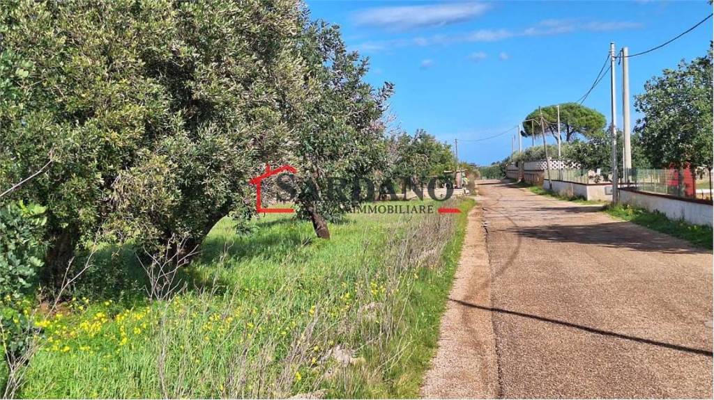 immagine annuncio 5 di 8