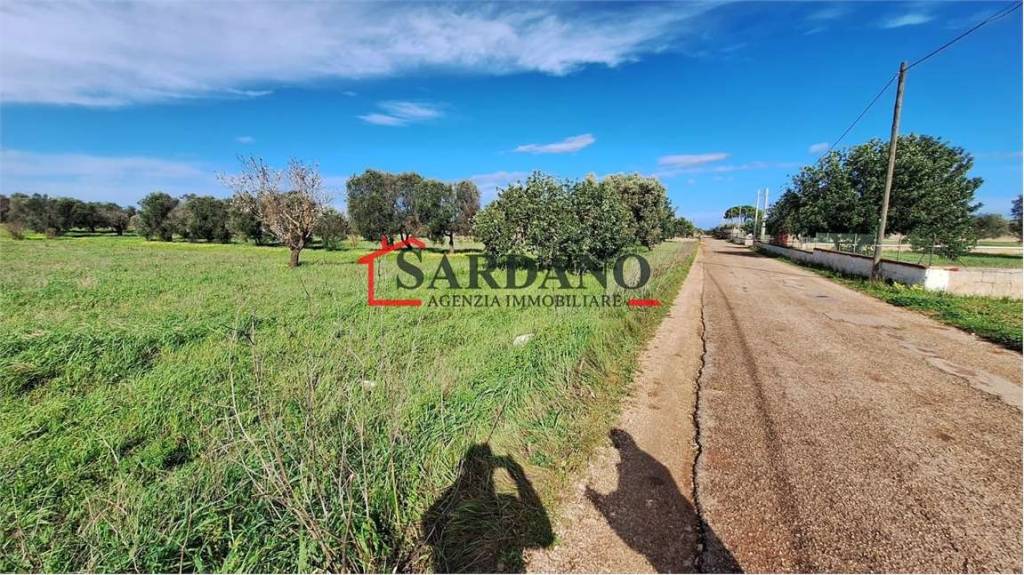 immagine annuncio 7 di 8