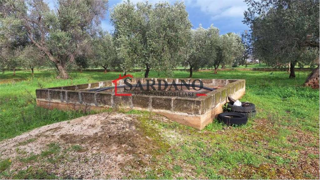 immagine annuncio 2 di 9