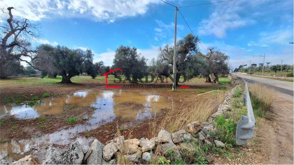 immagine annuncio 2 di 4