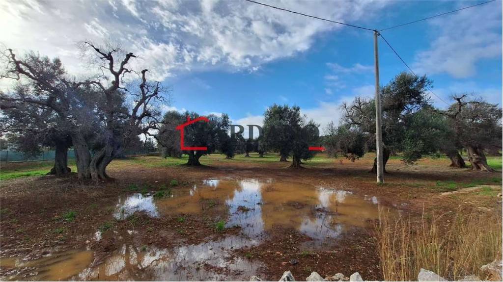 immagine annuncio 3 di 4