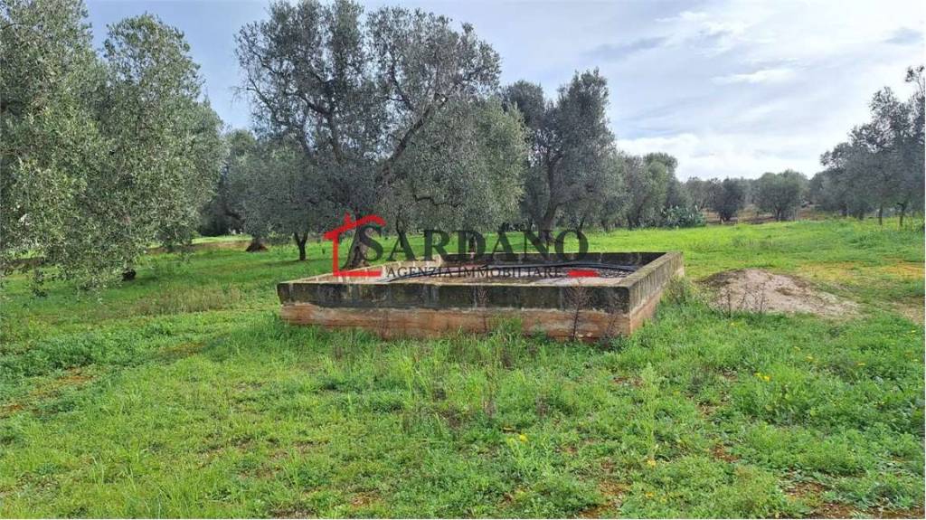 immagine annuncio 3 di 9