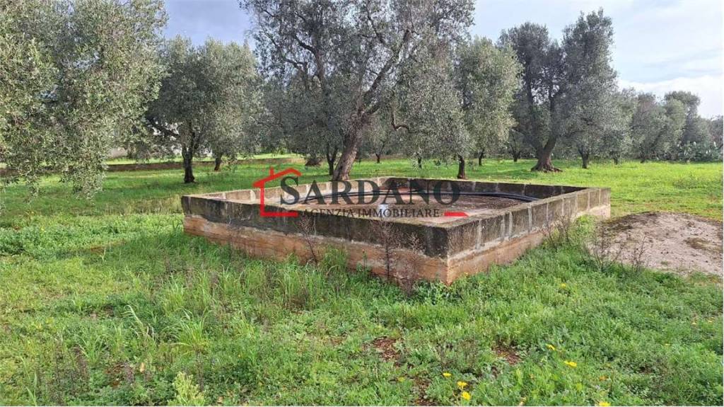 immagine annuncio 4 di 9