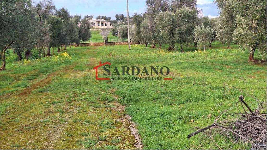 immagine annuncio 5 di 9