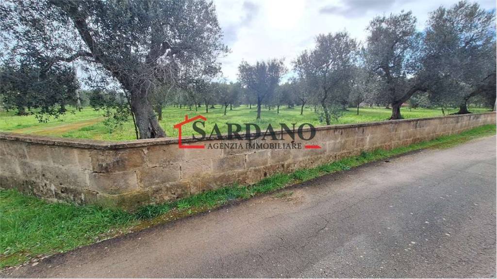 immagine annuncio 6 di 9